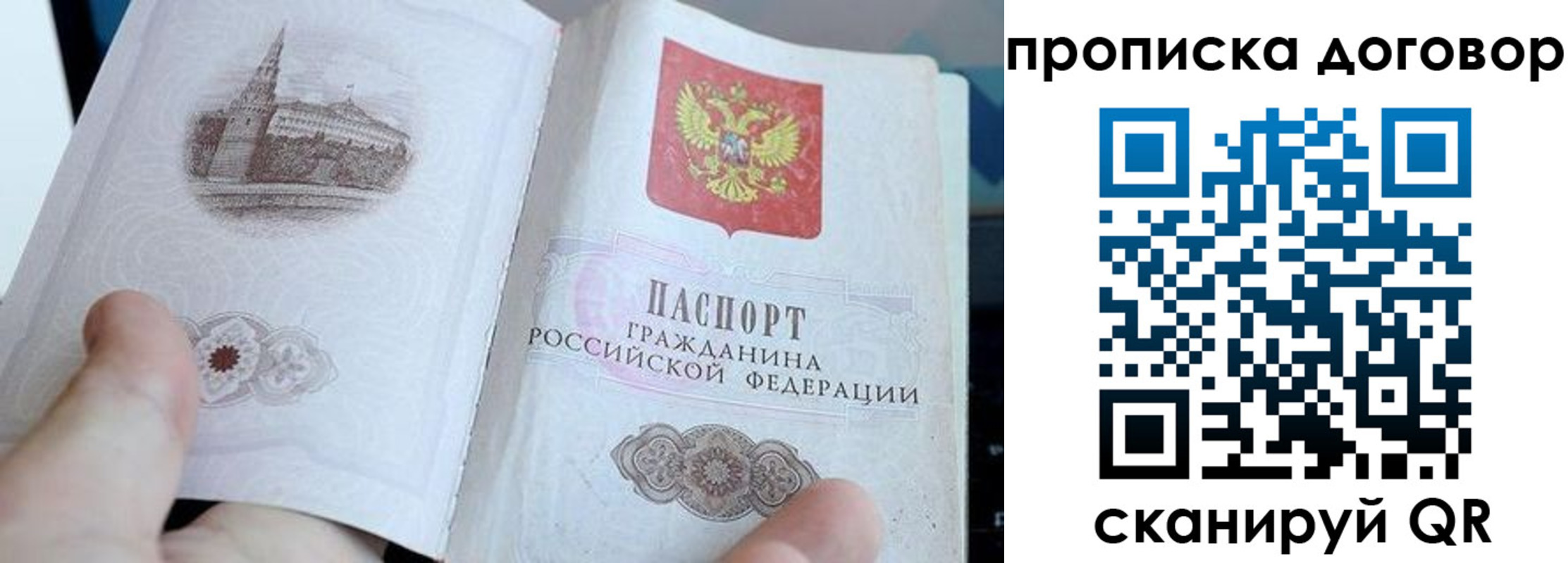 прописка законно в Фрязино